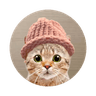 CatWifHat
