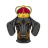 DogeKing