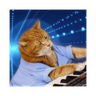 Keyboard Cat