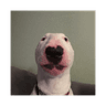walter