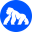 APE