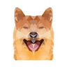 Duke Inu