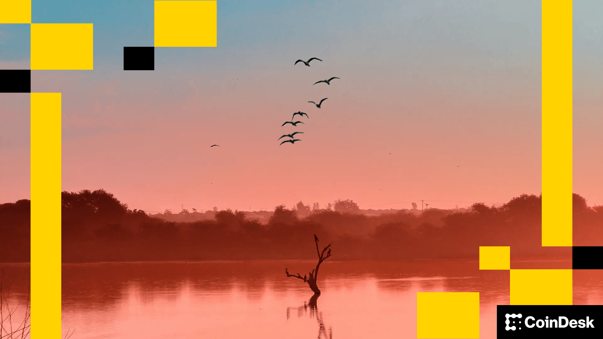 ANITA AFRICA EP 6 RELEASE Photo by KYLE CUT MEDIA on Unsplash